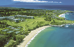 The Ritz Carlton Hotel Kapalua Hawaii